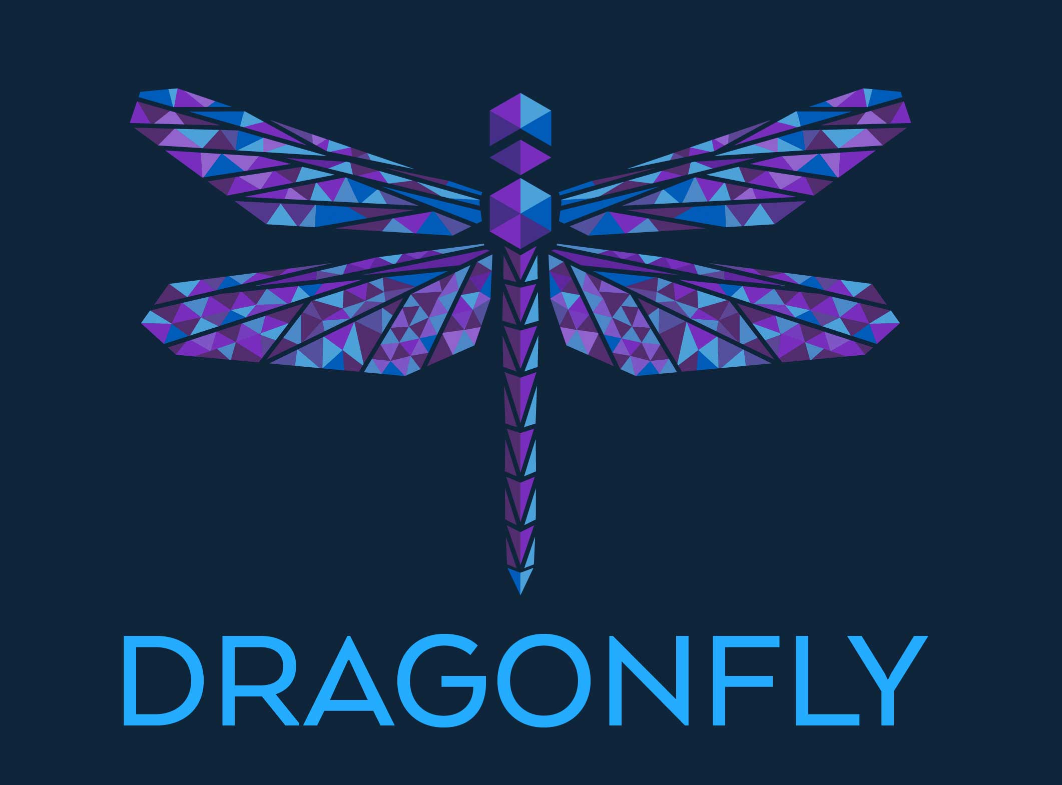 dragonfly logo on blue background